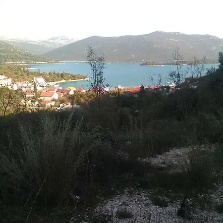 Radic * Ston